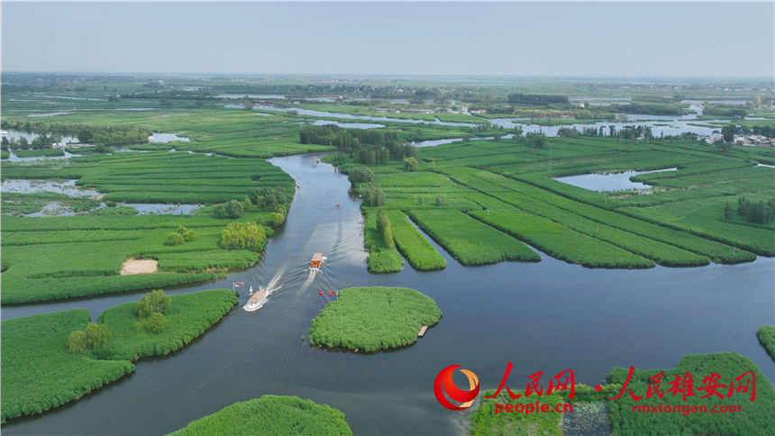 全國(guó)生態(tài)日丨白洋淀的華麗“變身”